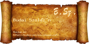 Budai Szolón névjegykártya